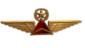 Vintage Delta Airlines Pilot Pin