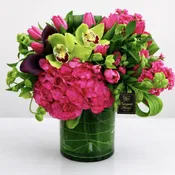 Emerald Luxed NF-Y62