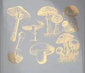 VINTAGE MUSHROOM OVERGLAZE DECAL