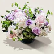 Amethyst Snowdrop