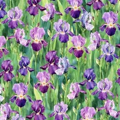 Hoffman Flower Shoppe W5479 228 Viola X