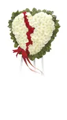 24" BROKEN HEART WITH WHITE DAISY/RED CARN(S)