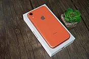 Back Glass Replacement