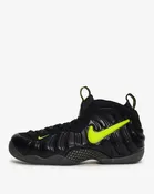 Air Foamposite Pro