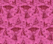 Fabric Anna Maria Textiles Candy Winging It Indelible Ink by the Quarter Yard AMT1006-23L