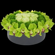 AF 200-9 Green Cymbidium Orchid & Cream Rose Round Ceramic Bowl Arrangement