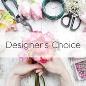 Designers Choice 2
