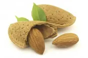 Essential Oil ~ Almond