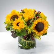 Sunny Sunflowers by BloomNation™ $75/95/115
