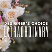 Extraordinary Designer's Choice