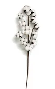 12 Bolls Cotton Spray - 27.5''