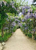 English Garden — Pierpoint Candle Company