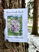 Rose Creek ASCLEPIAS SPECIOSA, Showy Milkweed Seeds