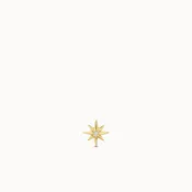 14k Flat Back Starburst Diamond Stud