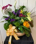 DISH GARDEN WITH FRESH CUTS