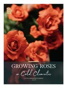 Cold Climate Rose Grower's Guide — little farmhouse flowers
