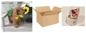 For Shipping 'Daisy' Topiary Coco Puppy Planter (without plants) Dog