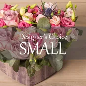 Designer's Choice- Small