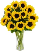 2 Dozen Sunflower Vase