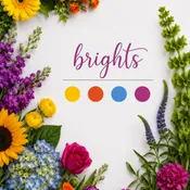 Brights
