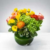 Bubble of Beauty