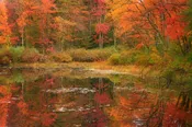 Autumn Mirror