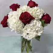 Anniversary #1