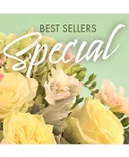 BEST SELLERS SPECIAL