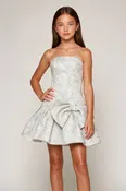 Drop Waist Strapless Jacquard Bow Dress