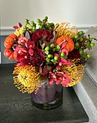 Fall Blooms