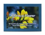 Affirm a Flower Card Set for Dr Bach Essences