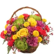 COLORFULNESS BOUQUET