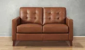 Aiden 2-Seater Leather Loveseat With Track Arms