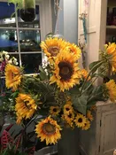 Happy Flowers