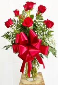 Lovely Dozen Red Roses