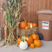 Fall Large Bale Bundle