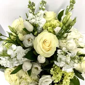 classic white