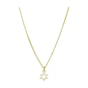 14k Gold Star of David Necklace