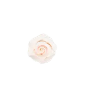 1-1/8" Rose w/ Calyx - Petite - Peach