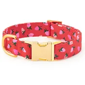 Berry Sweet Dog Collar: M