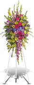 Bright and Beautiful Spray
