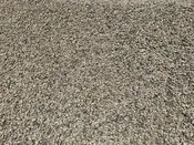 Chamois Beige