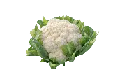 Amazing Cauliflower (Treated Seed)