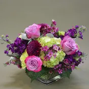 Purple Passion