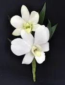DENDRO ORCHID BOUTONNIERE