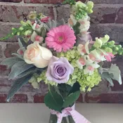 Pastel Cheer