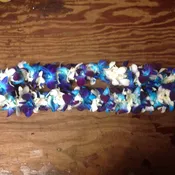 Leis #23