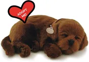 Perfect Petzzz Chocolate Lab