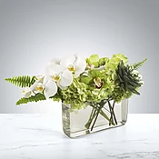 Blossoming Orchids