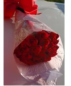 2 DOZENS PREMIUM ROSES